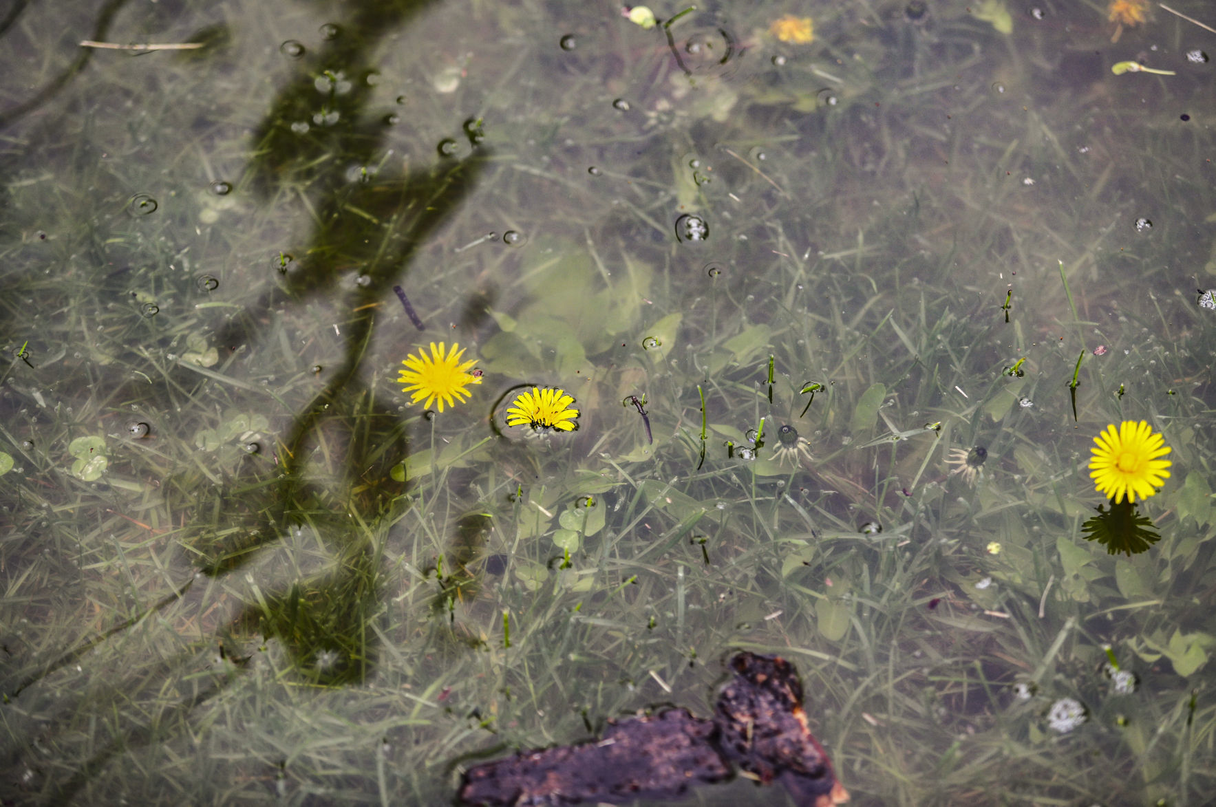 050119-qct-flood-aa-016